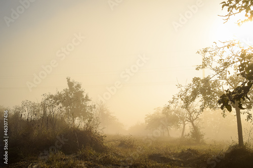 misty morning sunrise © Stefan Zimmer 