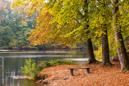 Herbstliche Stimmung am bewaldetetn Ufer der Schwentine in Schleswig-Holstein