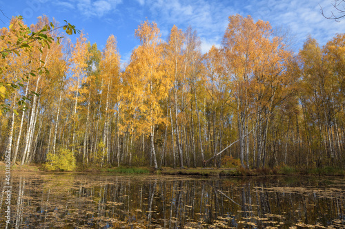 The bright beauty of autumn.