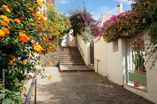 Summertime on Street in Mediterranean seaside village of Banyuls-sur-Mer in Pyrenees-Orientales department, southern France featuring plants with orange and purple flowers in bloom