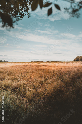 Schöner Tag auf dem Feld 