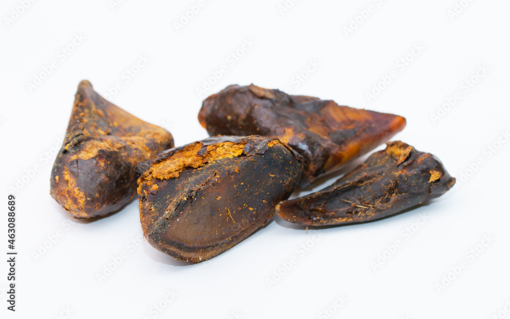 A treat for pets. Pork hoof on a white background, dried bone for cleaning dogs teeth. A treat for pets. Pork hoof on a white background, dried bone for cleaning dogs teeth.