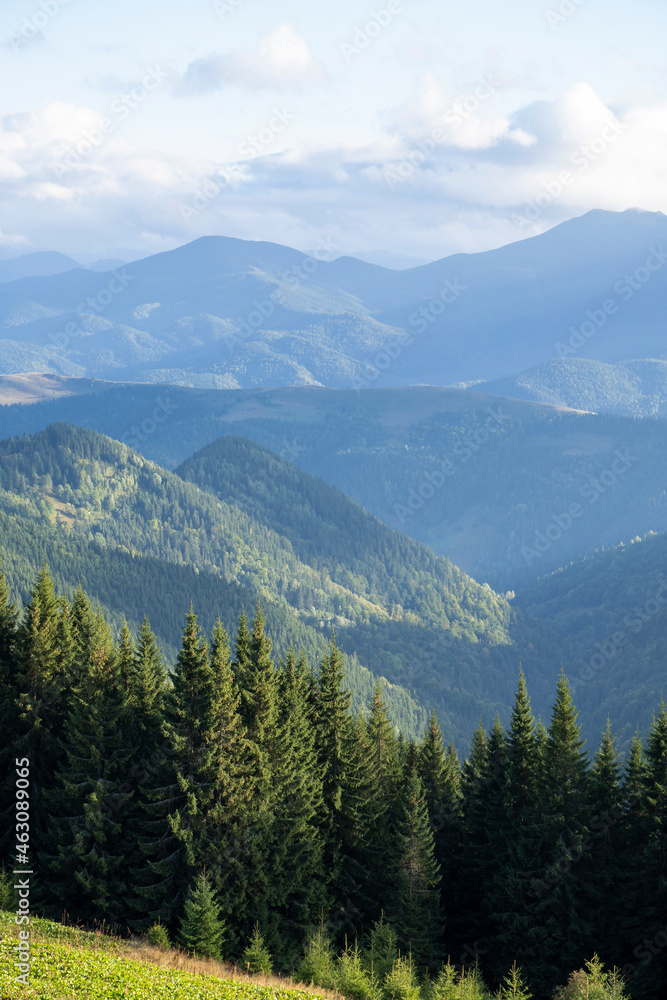 Beautiful autumn view of mountains covered coniferous forest. Great Smoky Mountains National Park, Ukraine. 