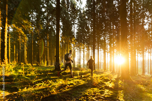 Rennsteig 2 Läufer im goldenen Sonnenlicht inmitten der Natur, Fitness