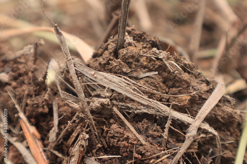 Soil is a naturally occurring material from physical decay. and the chemistry of rocks and minerals combined with organic matter