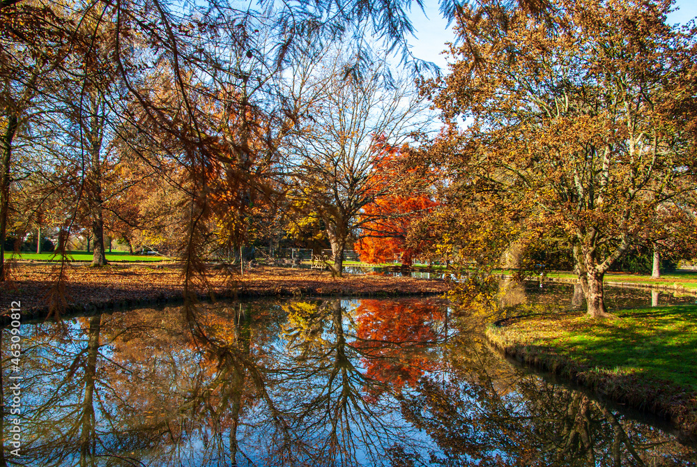 Schöner Park mit einem See von Schloss Favorit, Deutschland, der in bunten Herbstfarben leuchtet Schöner Park mit einem See von Schloss Favorit, Deutschland, der in bunten Herbstfarben leuchtet