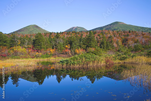 日本、青森県、睡蓮沼の紅葉