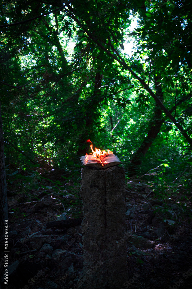 burning wedge on poles in the forest burning wedge on poles in the forest