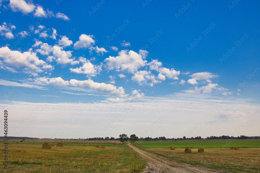 dirt road through the field at sunset