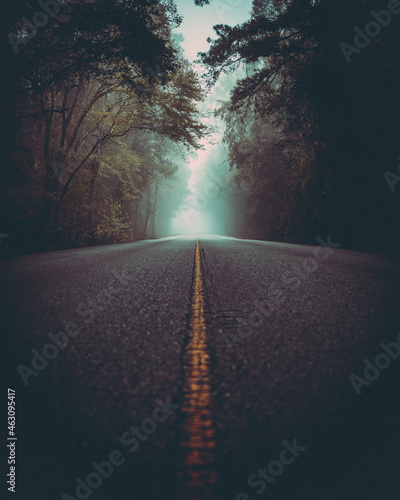 Dark Gloomy Road with cinematic edit