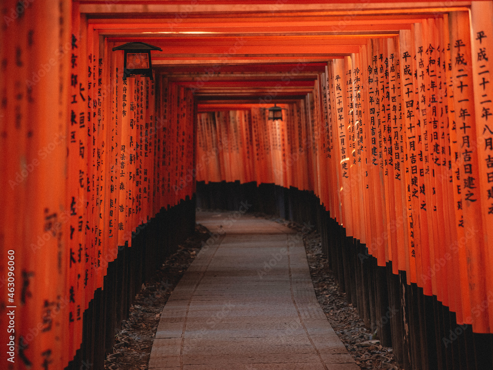 Fototapeta premium japanese shrine in kyoto