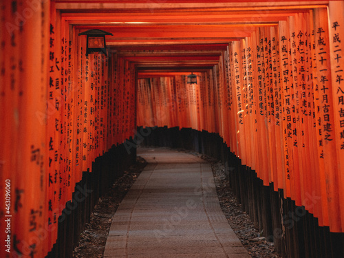 japanese shrine in kyoto