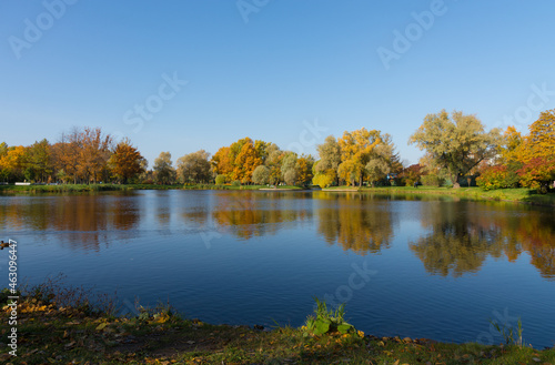 Autumn park with pond and trees in autumn foliage on the banks