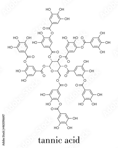 Tannic acid molecule (one isomer shown). Type of tannin. Skeletal formula.