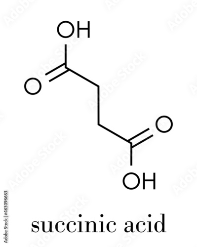 Succinic acid (butanedioic acid, spirit of amber) molecule. Intermediate of citric acid cycle. Salts and esters known as succinates. Skeletal formula.