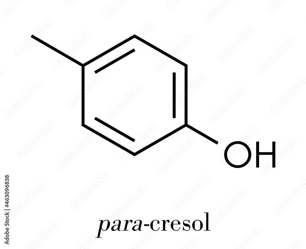 P-cresol (para-cresol, 4-methylphenol) molecule. Component of human sweat. Skeletal formula. P-cresol (para-cresol, 4-methylphenol) molecule. Component of human sweat. Skeletal formula.