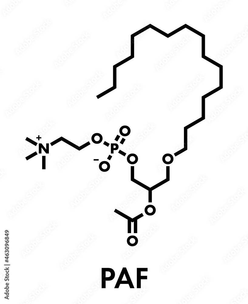 Platelet Activating Factor (PAF) signaling molecule. Skeletal formula.
