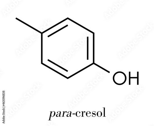 P-cresol (para-cresol, 4-methylphenol) molecule. Component of human sweat. Skeletal formula.