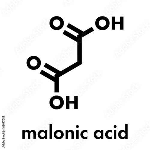 Malonic acid organic dicarboxylic acid molecule. Skeletal formula. photo