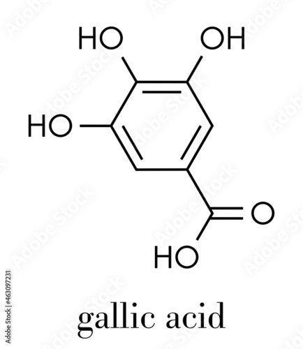 Gallic acid (trihydroxybenzoic acid) molecule. Present in many plants, including oak, tea and sumac. Both in the free form and is part of tannin compounds. Skeletal formula. photo