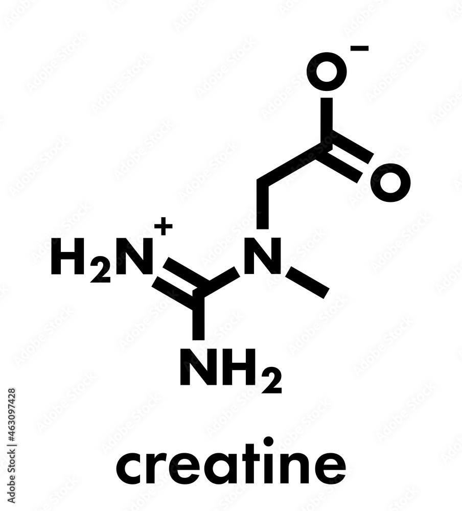 Creatine molecule. Often used in food supplements. Skeletal formula. Creatine molecule. Often used in food supplements. Skeletal formula.
