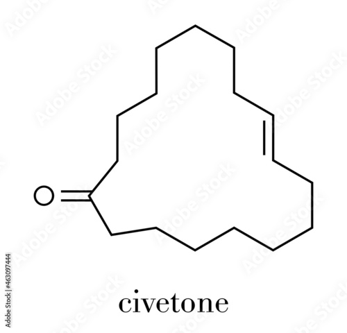 Civetone civet cat pheromone molecule. Used in perfume. Skeletal formula.