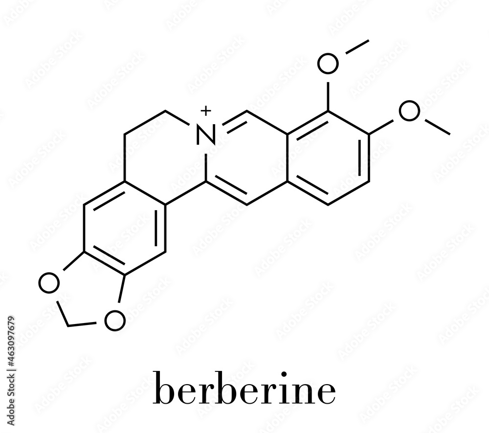 Berberine herbal medicine molecule. Skeletal formula.