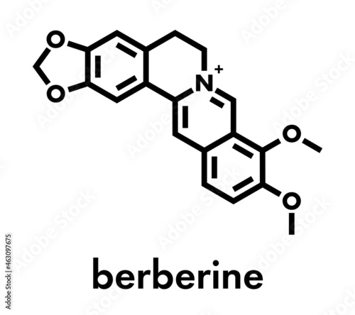 Berberine herbal medicine molecule. Skeletal formula.