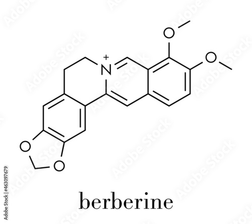 Berberine herbal medicine molecule. Skeletal formula.