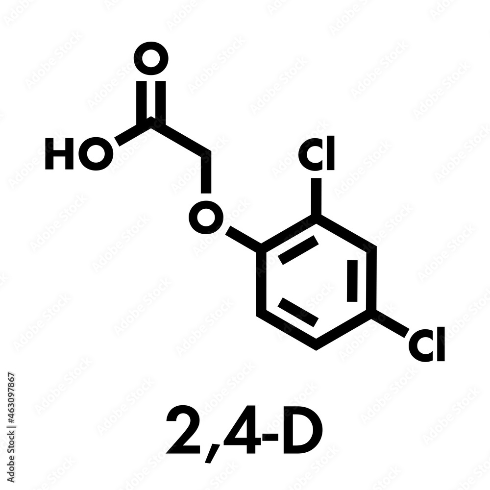 2,4-D (2,4-dichlorophenoxyacetic acid) Agent Orange ingredient. Synthetic auxin plant hormone, used as pesticide and herbicide and ingredient of Agent Orange. Skeletal formula. 2,4-D (2,4-dichlorophenoxyacetic acid) Agent Orange ingredient. Synthetic auxin plant hormone, used as pesticide and herbicide and ingredient of Agent Orange. Skeletal formula.