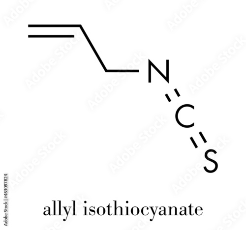 Allyl isothiocyanate mustard pungency molecule. Responsible for pungent taste of mustard, wasabi and radish. Skeletal formula.
