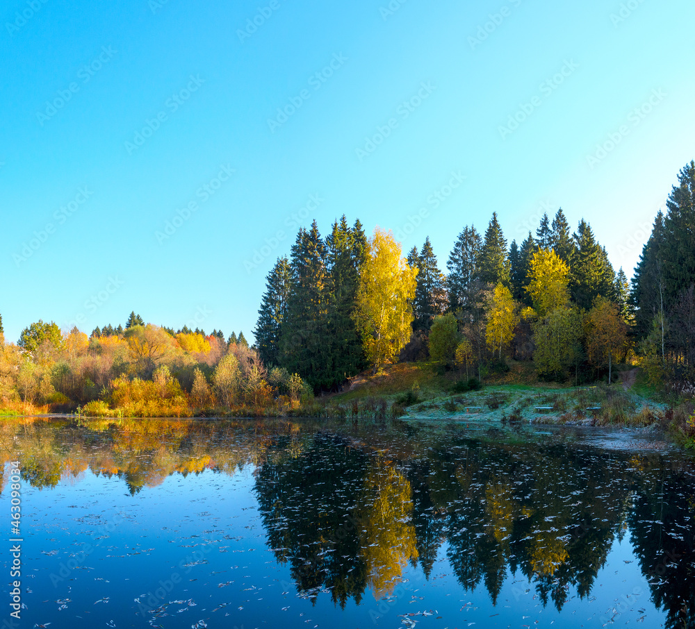 Autumn landscape with trees and lake