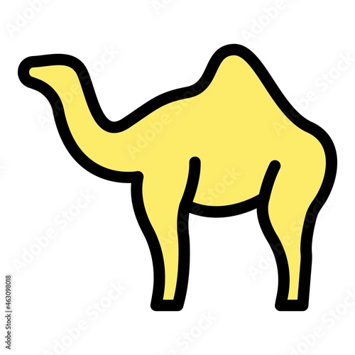 Zoo camel icon. Outline zoo camel vector icon color flat isolated
