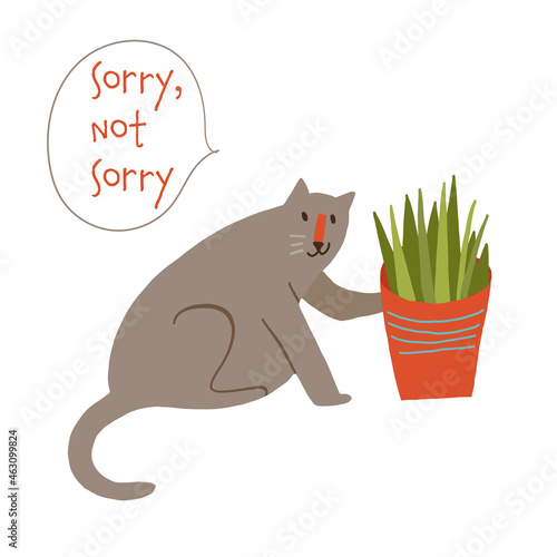 Cute naughty cat knocking off a plant pot sorry not sorry
