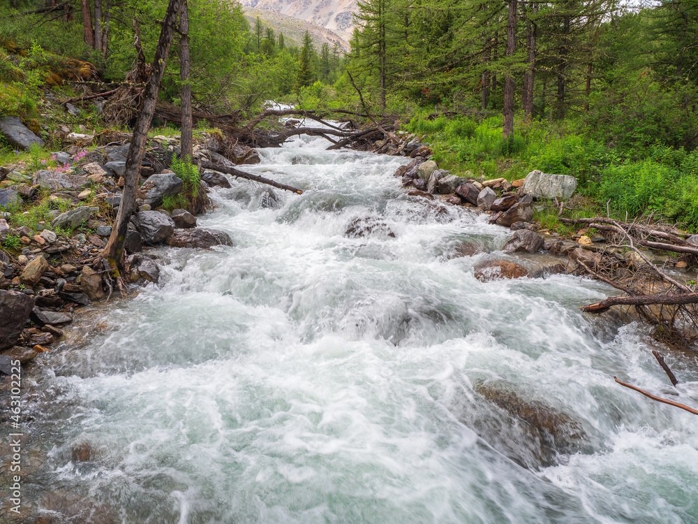 Mountain river flow through forest. Beautiful alpine landscape with azure water in fast river. Power majestic nature of highlands. Mountain river flow through forest. Beautiful alpine landscape with azure water in fast river. Power majestic nature of highlands.
