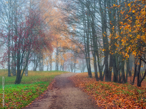 Mystical autumn landscape with morning fog and empty path in the park.