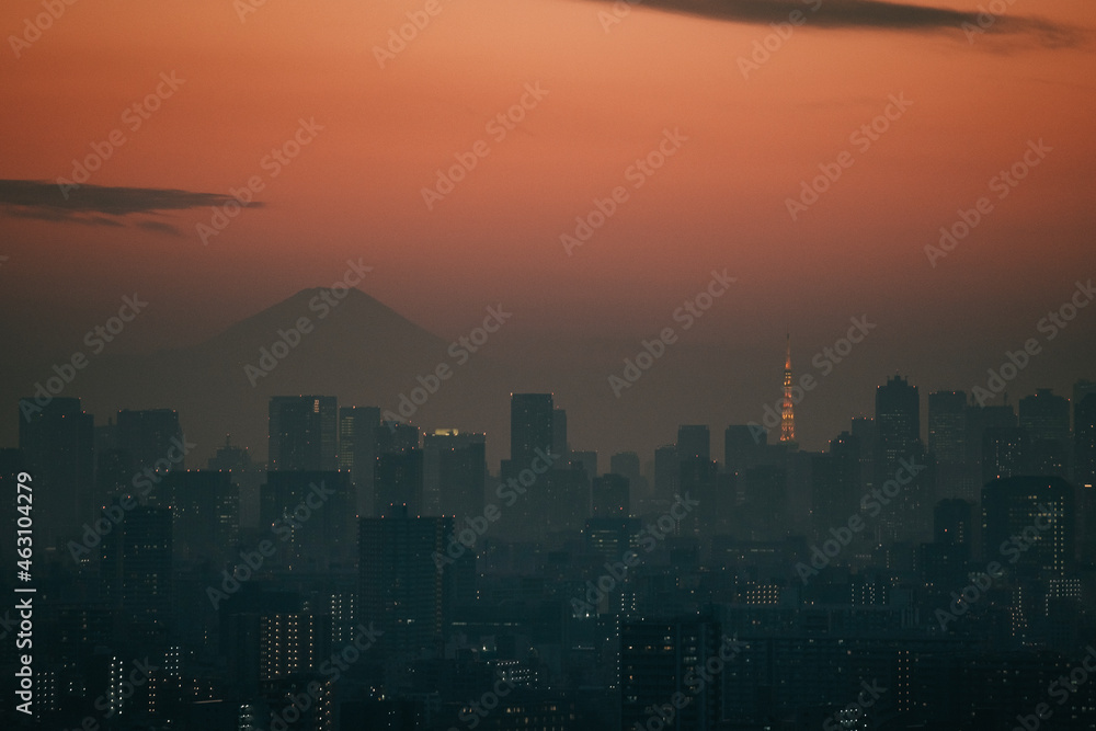 Fototapeta premium タワーホール船堀からの富士山