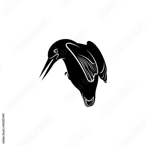 King fisher bird silhouette vector illustration design concept. creative design