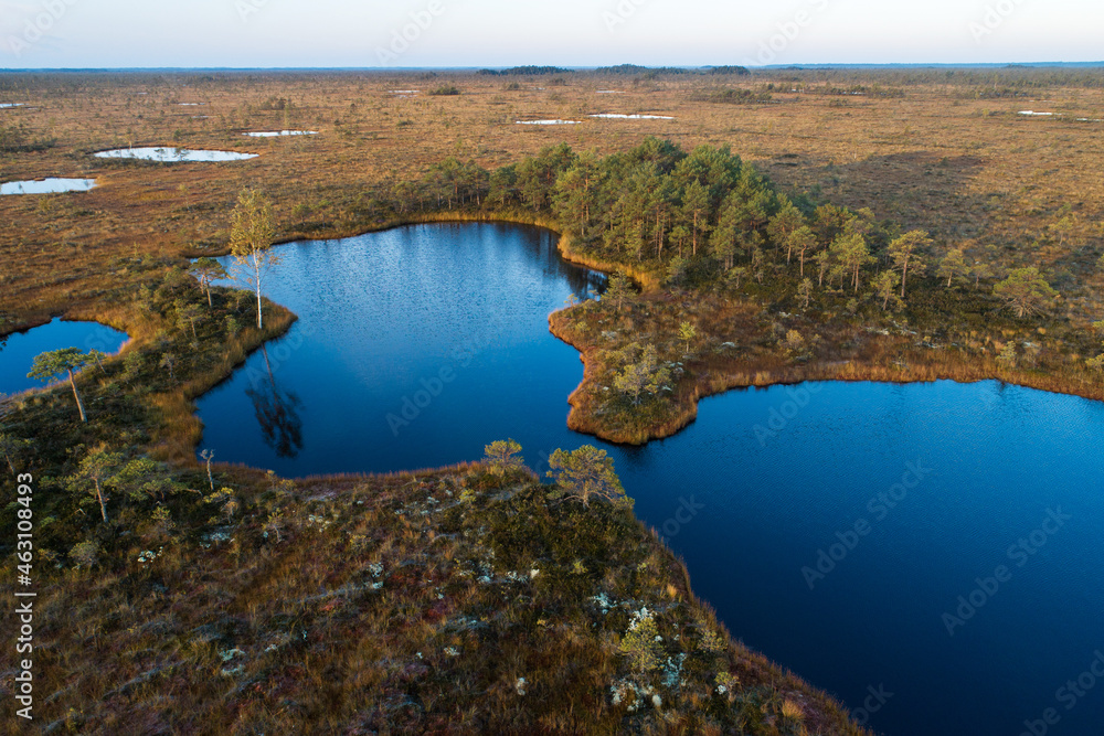An aerial of small bog lakes on an autumn morning in Soomaa National Park, Estonia. 