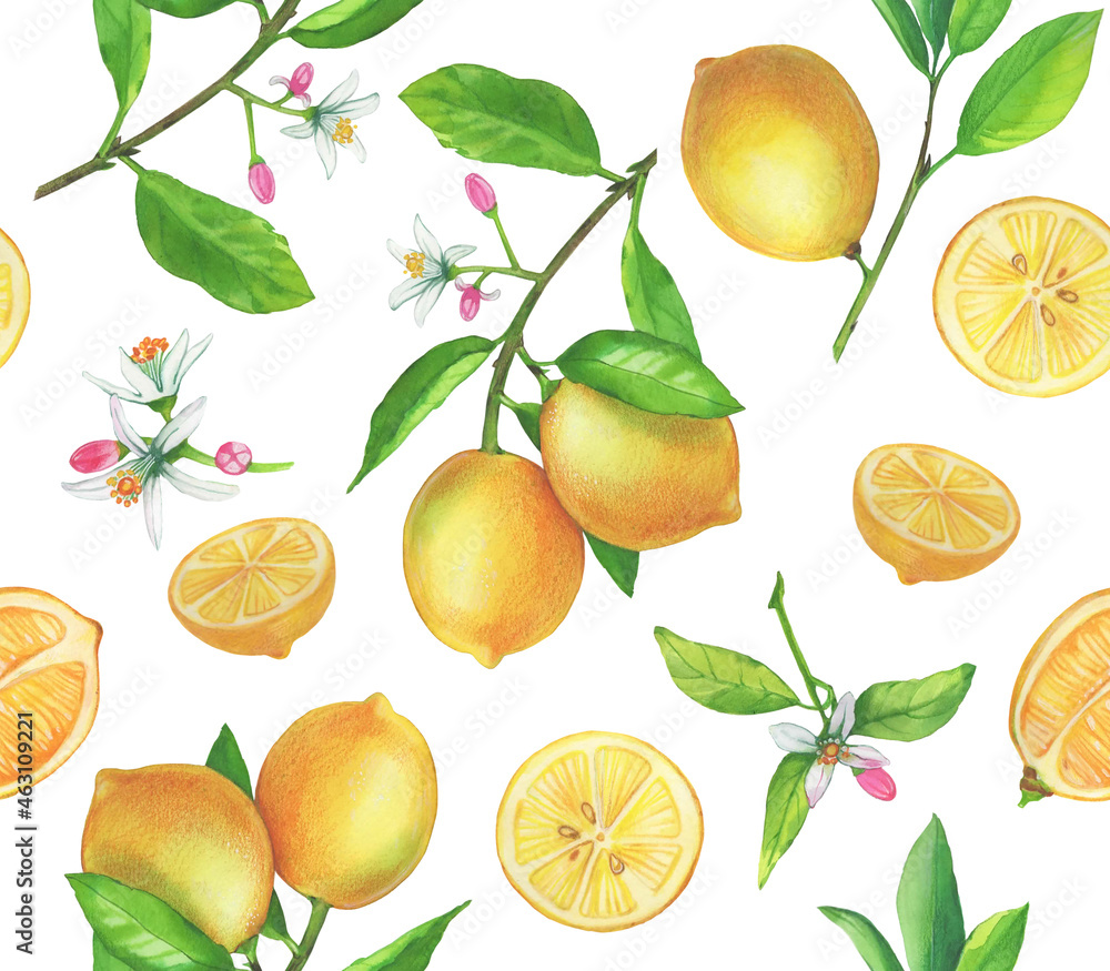 Seamless pattern of lemon fruit with flower on white background. Hand painted illustration packaging design of lemon tea products and fashion design.