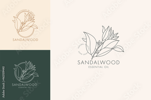 Vector linear set of botanical icons and symbols - sandalwood. Design logos for essential oil sandalwood. Natural cosmetic product.