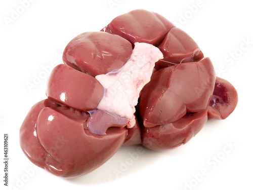 Fresh Veal Kidney on white Background photo