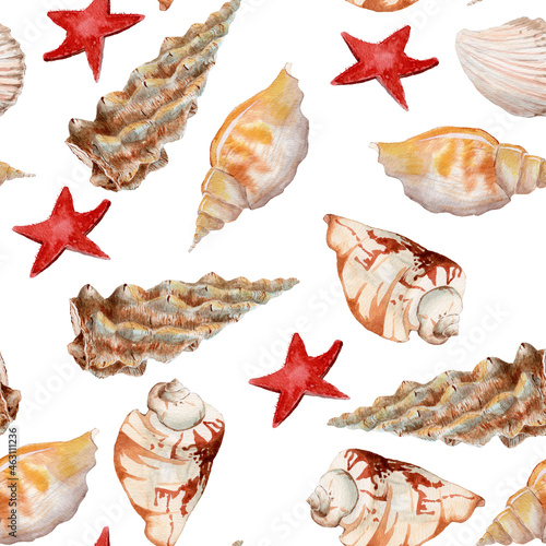 Watercolor seamless seashells pattern; summer textile texture; seashells and starfish decoration