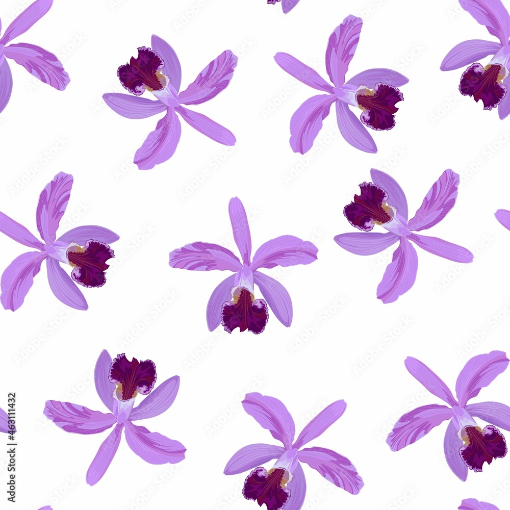 Pink violet orchid flowers seamless pattern. Decorative background in rustic boho style for wedding invite, fabric. White background.