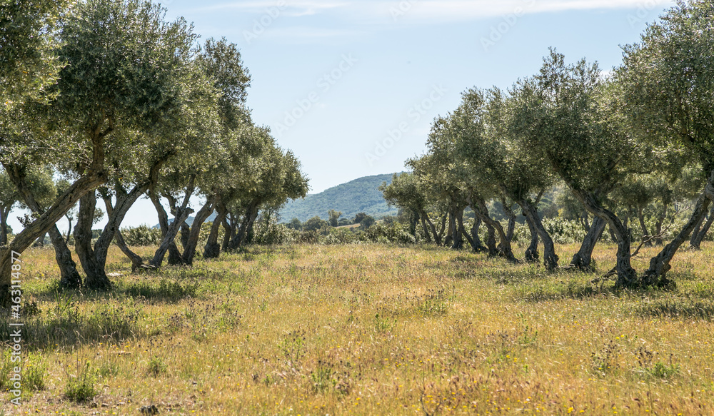 Autumn landscapes of the spanish countryside Autumn landscapes of the spanish countryside