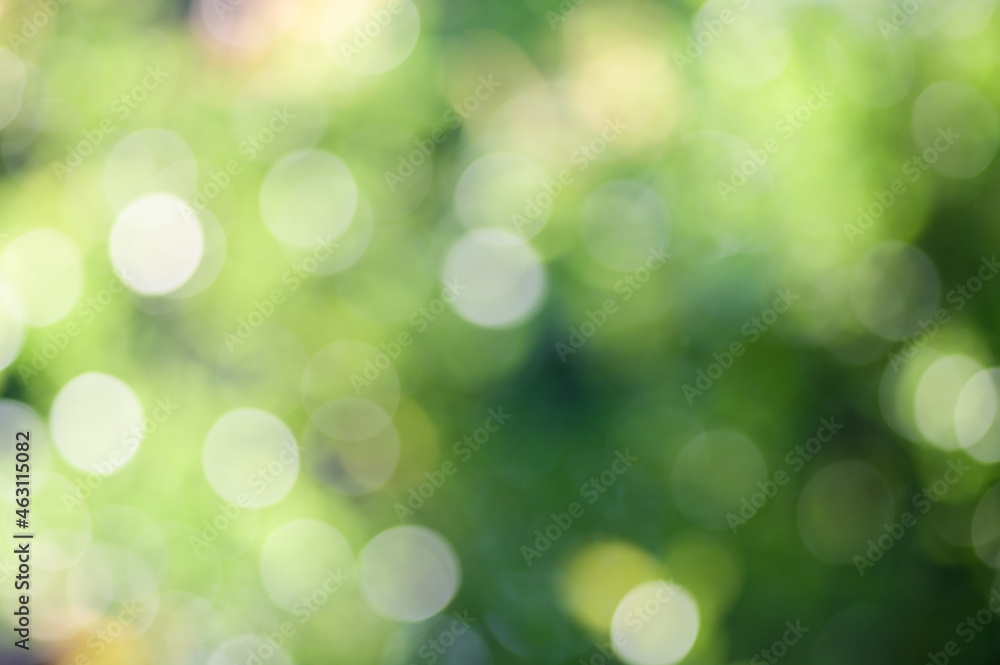 Green bokeh from nature background Green bokeh from nature background