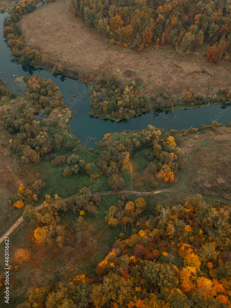 Aerial view of autumn landscape with forest and river