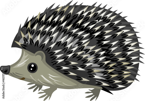 Cute cartoon hedgehog isolated on white background