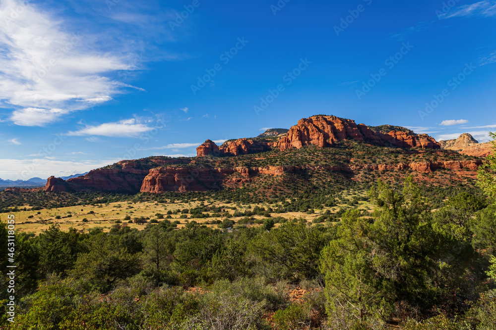 Fototapeta premium Sunny landscape of Sedona