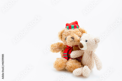 Teddy bear brothers and sisters hugging each other isolated on white background with copy space. Love, families, valentine concept. © Chaiwat